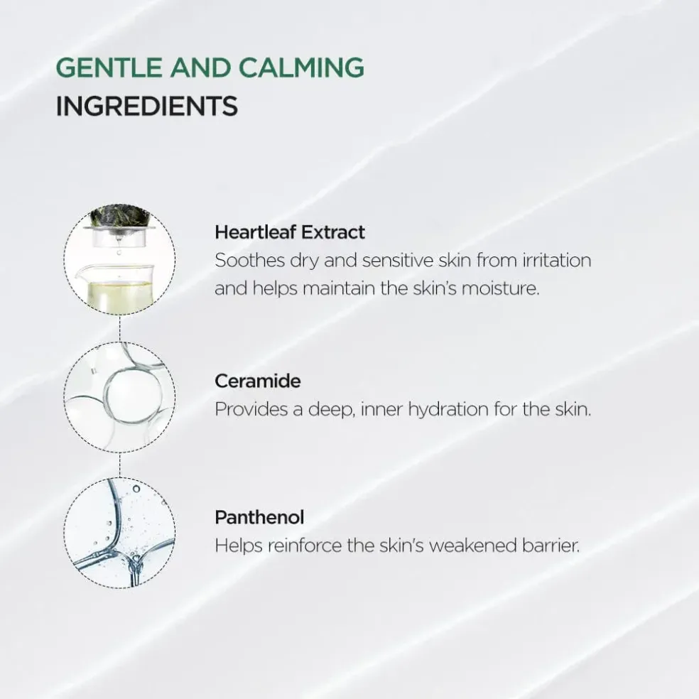 ANUA Heartleaf 70% Intense Calming Cream - 50 ml | Soothe and Revitalize Your Skin