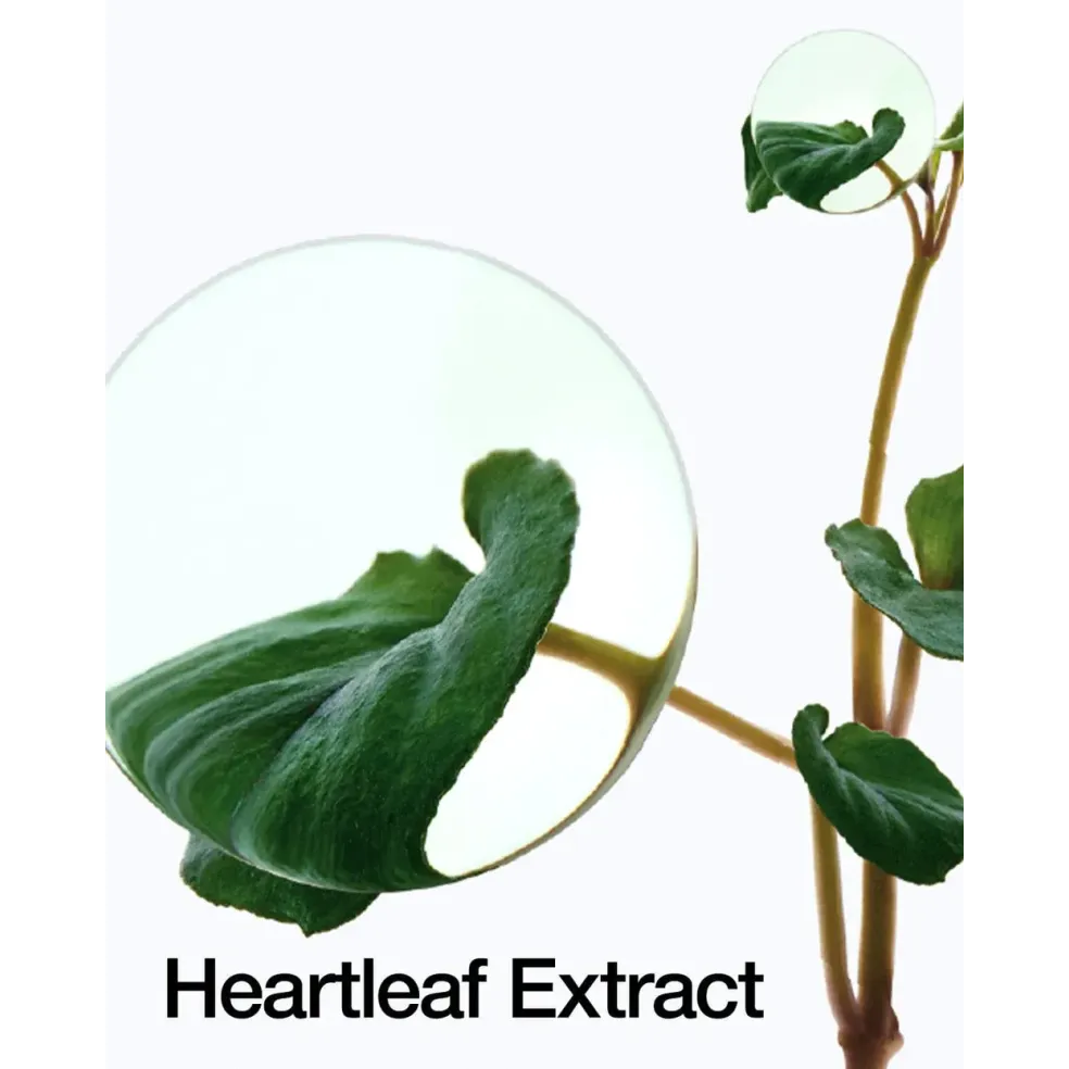 Heartleaf 77% Soothing Toner - Anua