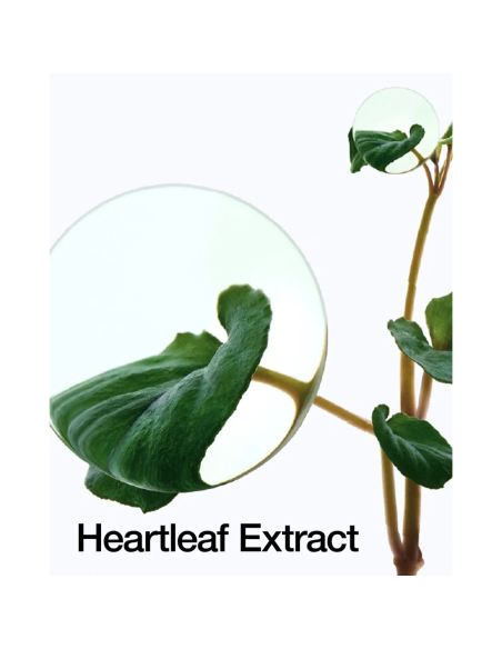 Tonique Heartleaf 77 Soothing Toner 250ml | Kosmetica