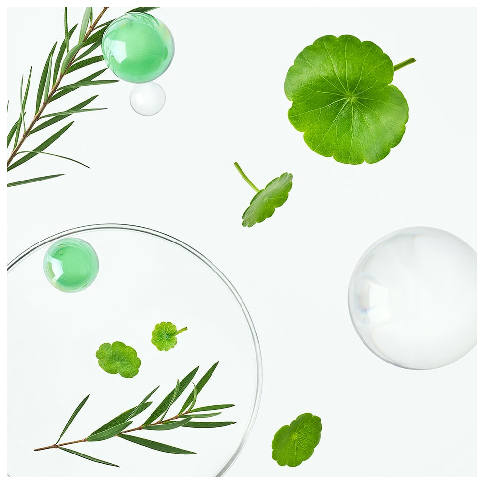 Ingredientes clave: centella asiática, ácido hialurónico y árbol de té