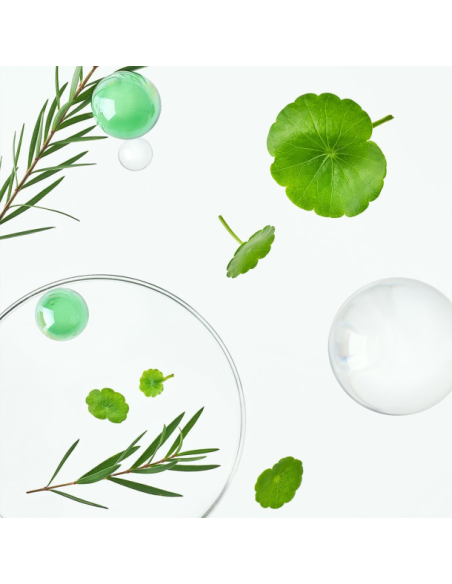 Ingredientes clave: centella asiática, ácido hialurónico y árbol de té